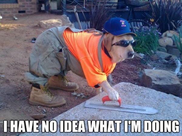 JesusRidesBears's tweet photo. @KaitlynMcDaneld I have no idea http://t.co/4qiBEnyeTA