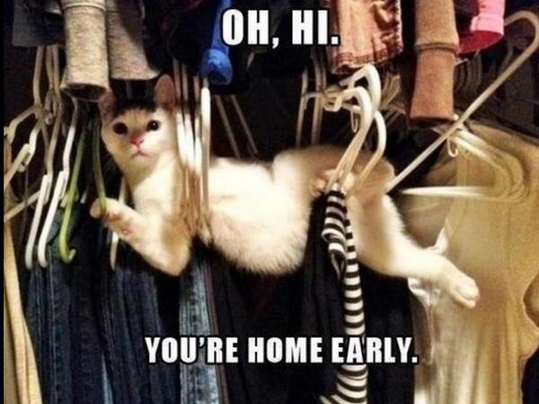 JesusRidesBears's tweet photo. @KaitlynMcDaneld amateur http://t.co/qWAL3knsl6
