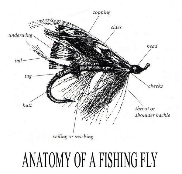 StreamworksOutd's tweet image. #Anatomyofafishfly #flyfishing #flytying #howto #tieflies