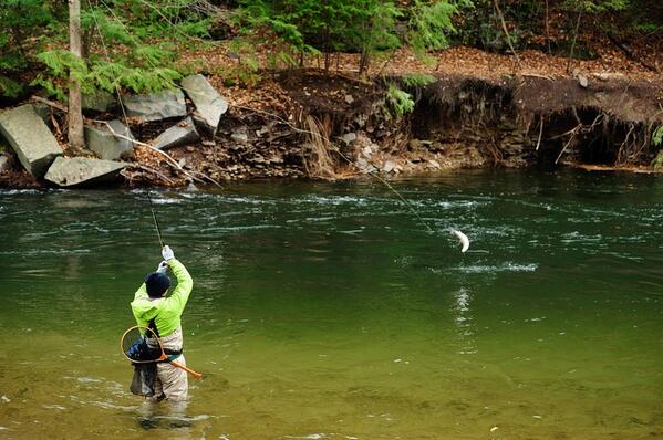 StreamworksOutd's tweet image. #Perfecthookup #fishon #flyfishing #thatshowyoudoit