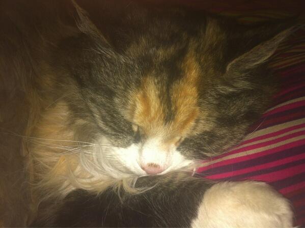Savna lille gullet mitt ❤ #myoneandonly