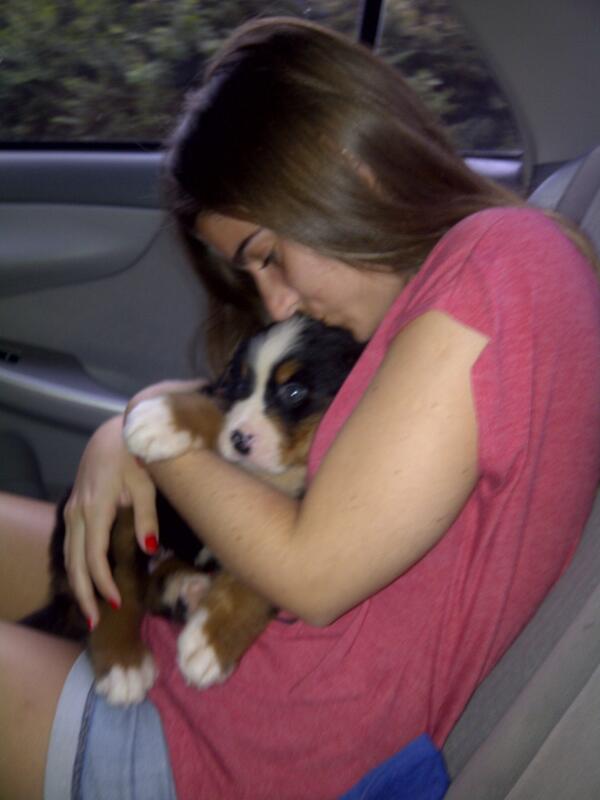 JuliLibardi's tweet photo. y buen, trate pero tuve que subirla, bebeee ♥♥♥ http://t.co/7aWwHZfR6B