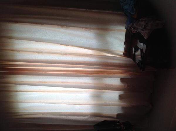 _pppppppppp_'s tweet image. holiday 2333333o(*￣▽￣*)o