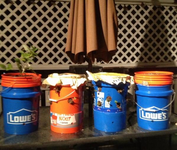 Brad Roderick tweet media