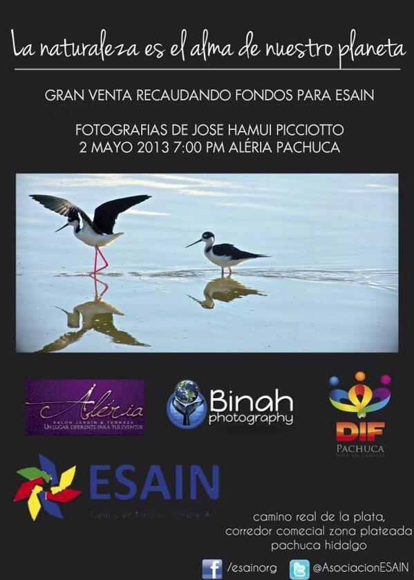 Marianahazelnut's tweet photo. @staffeleazar @StaffPacoOlvera @difhgo venta de fotos pro @AsociacionESAIN y @DIF_Pachuca este jueves 7pm no falten http://t.co/Yvo4HquSD5