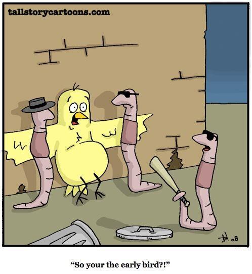 dumbdrawings's tweet photo. Early bird #drawingoftheday #Comedy #humor #cartoons #crimewatch #mondays #MyMind #nature http://t.co/2OmBw1Xqbo