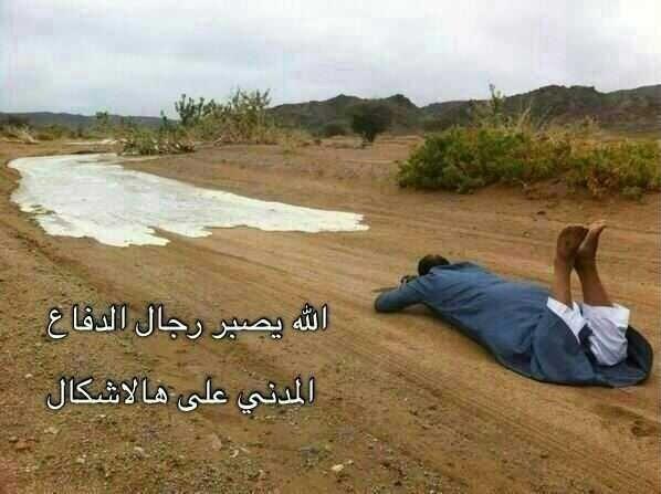 asas200097's tweet photo. @asas200097 http://t.co/bsuo3taM7B