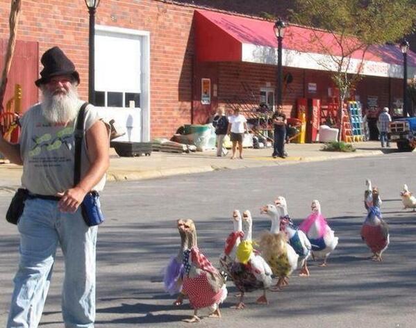 ChiroCards's tweet image. I align myself in perfect harmony. @ChiroCards