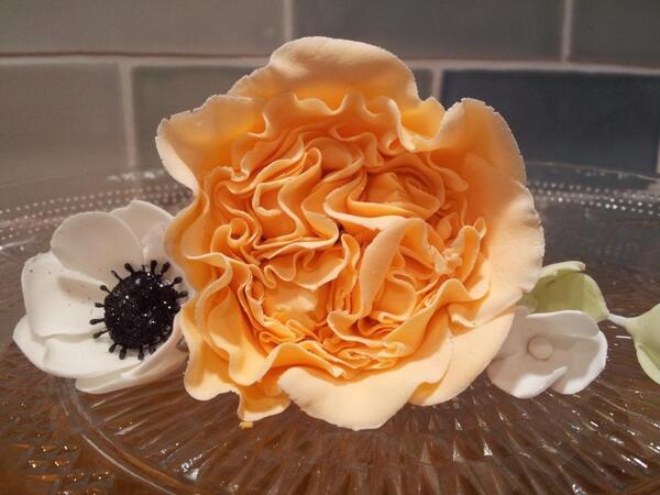 Timeforsweetpea's tweet photo. Up all night but finished a sugar David Austin rose inspired by my wedding bouquet @FlowerDesign1 http://t.co/tLXgKOLUm2