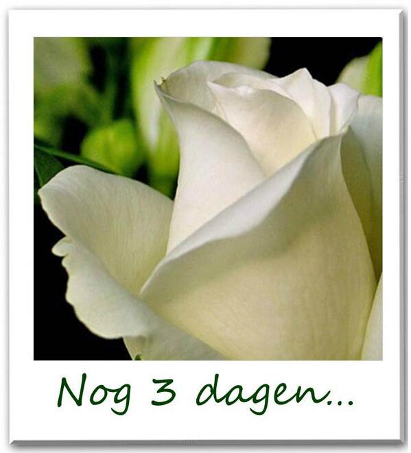 Nog 3 dagen...