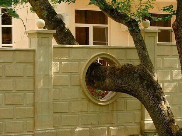 NaturPictures's tweet photo. Respeto a la naturaleza. http://t.co/iRykhfTRet