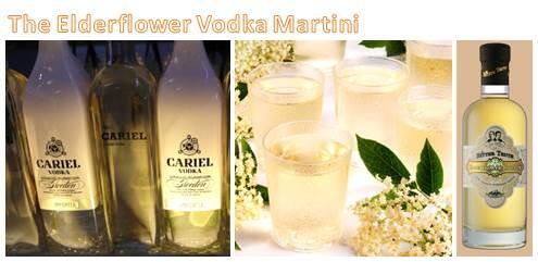 CarielVodka's tweet photo. Late Spring is our advantage #homecocktails #elderflowervodkamartini, Tuesday is the NEW Friday, garden here we come! http://t.co/fbAtvFVuGd