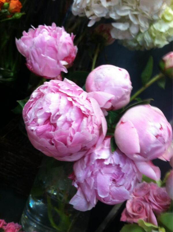 RollingHillsFlo.Mart tweet media