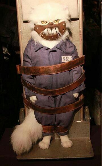 BJIvSDpCUAEZRW0.jpg:large