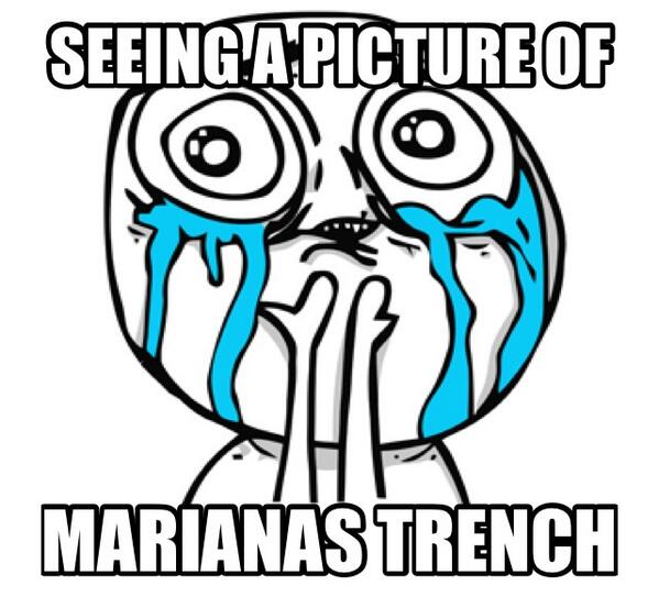 Shelby_Jeffery tweet picture