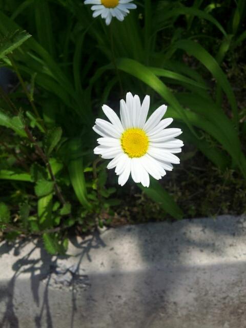 날씨 너무~좋다~^^