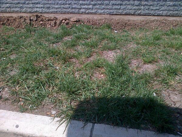 tri_reke's tweet photo. #Orlovaca. Za ovolike pare, mogli ste i travu da zasadite http://t.co/Pn9dgA1hW0