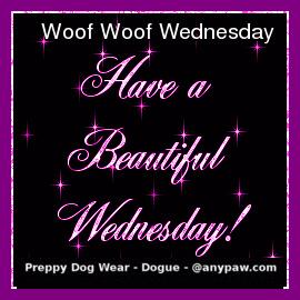 Short Dog n Sides tweet media