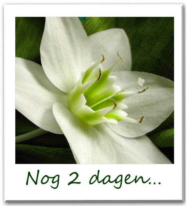 Nog 2 dagen...