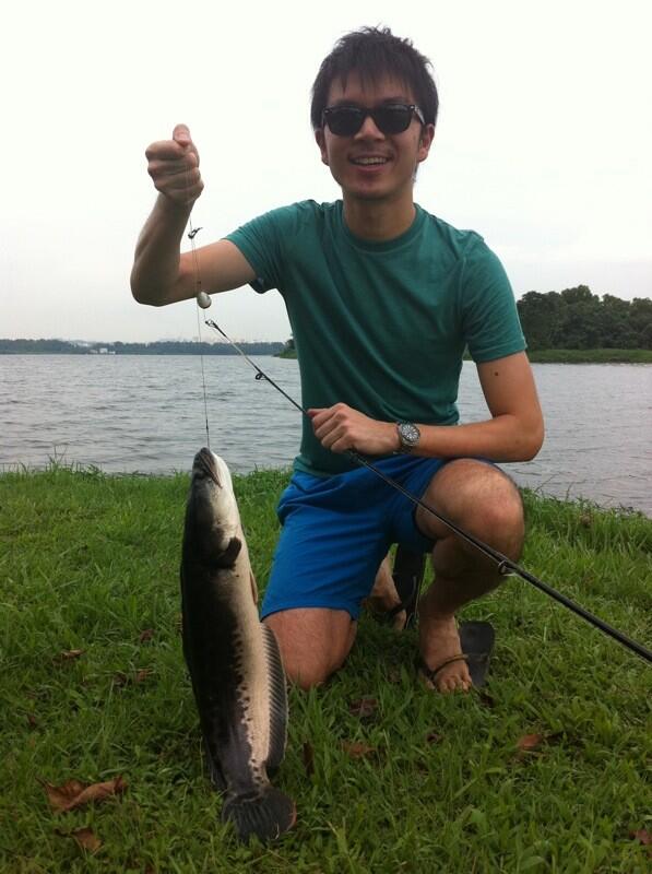 Threw the bait and hook in the tree but still caught this!