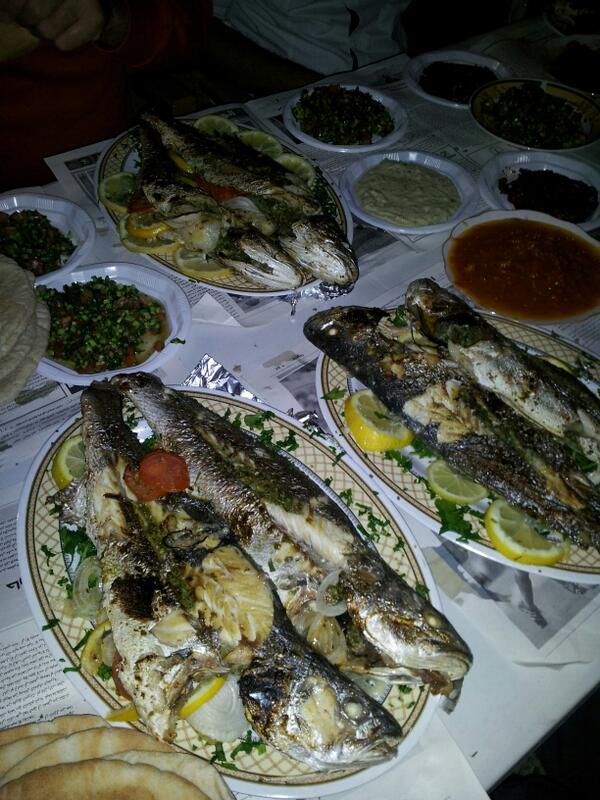 Gaza Surf Club tweet media