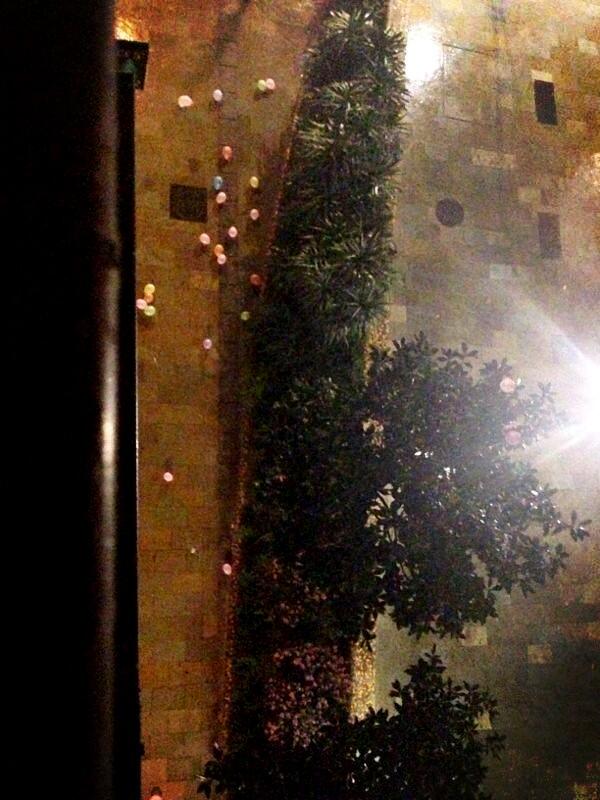 garazigabina's tweet photo. Alégrales la noche. @Miguez_26 @ikerherrero93 @pauloinaz @andreaescrii #versionandofish http://t.co/37mfZV8cfF