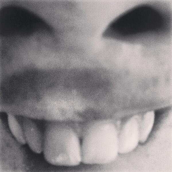 oddkatt tweet picture