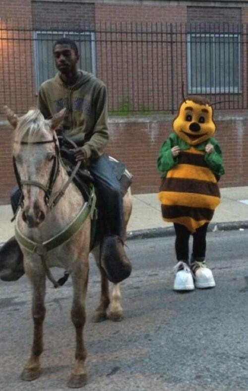 weird_wednesday's tweet photo. So many questions #weirdwednesday http://t.co/I9YUt2JYik