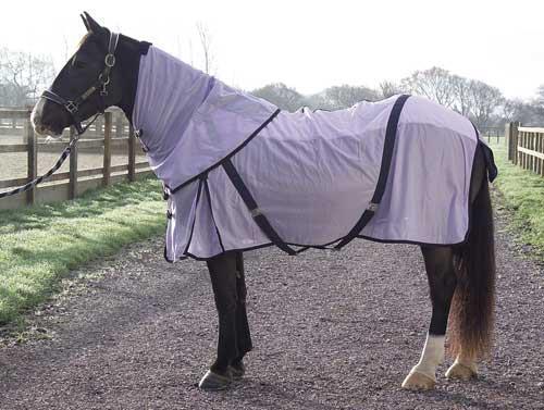 TheTackAttack's tweet photo. Rhinegold Fly Rug with detachable neck cover. Towelling Section along Back for comfort, white or lilac 4'6"- 7' £25 http://t.co/UhCsHd95y7