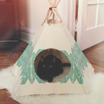 Photo by Cat Tipi (@cat_tipi)