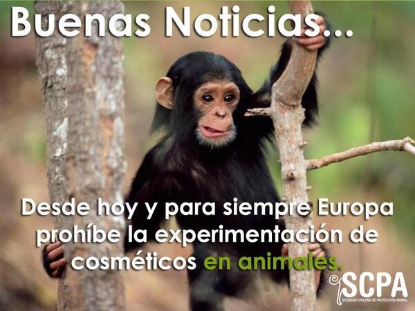alexrosaldo's tweet photo. También hay que compartir las buenas noticias😃🙏  #noalmaltratoanimal 
🐶🐺🐱🐭🐹🐰🐸🐯🐨🐻🐷🐮🐗🐵🐒🐴🐑🐘🐼🐧🐦🐤🐥🐣🐔����🐢🐋🐄🐏🐊🐫🐪🐆🐡🐂🐇🐅🐞🐌🐙🐠🐟🐬🐳🐎 http://t.co/Fw5Em9OfGe