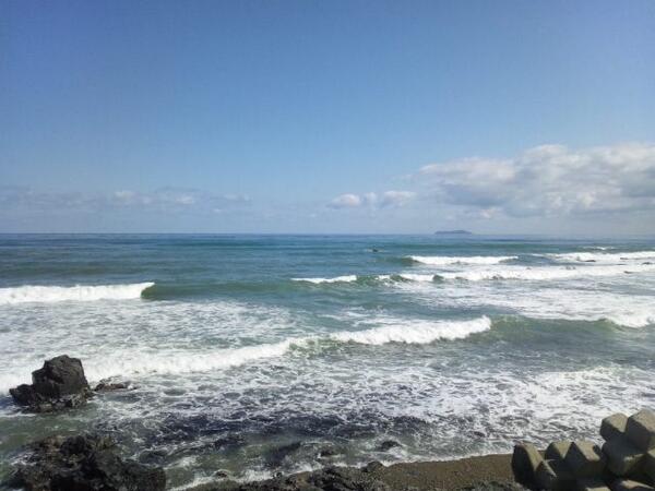 サーフィン日和だ