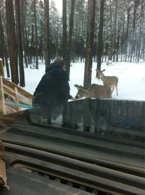 Linger8's tweet photo. My new hunting tactic. #cheezies http://t.co/nBttwfeszI