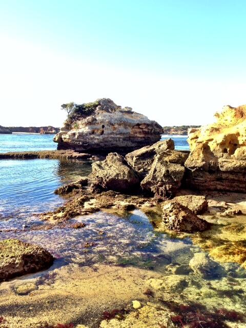 visit12apostles's tweet image. Call into a #greatoceanroad #visitorinformationcentre #localsecrets Stay longer see more