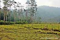 rancaupas's tweet photo. http://t.co/xUZujGPVXf