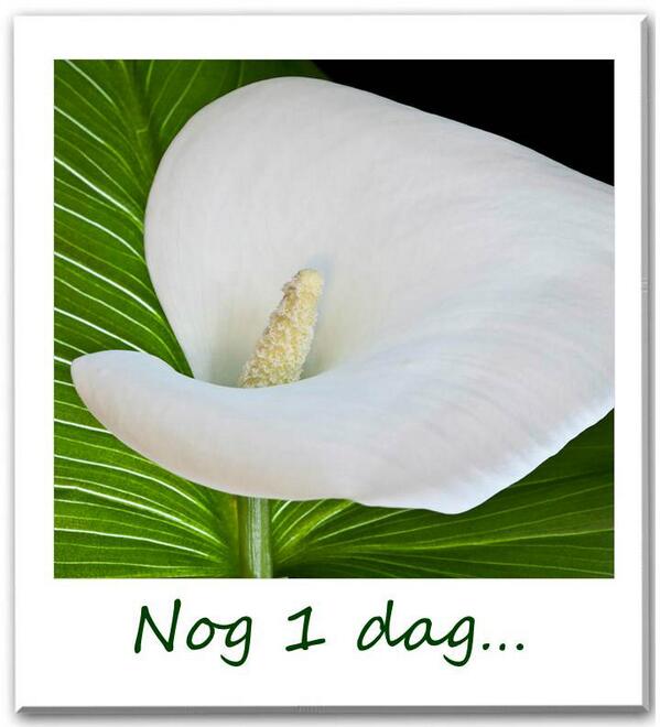 Nog 1 dag...