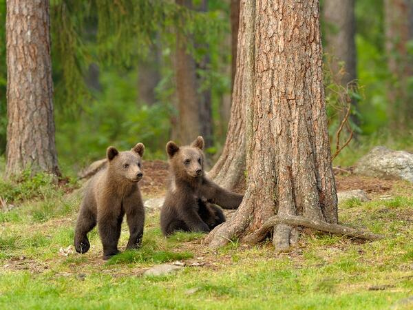 tralyvaly's tweet photo. http://t.co/DUlMGG5vtL