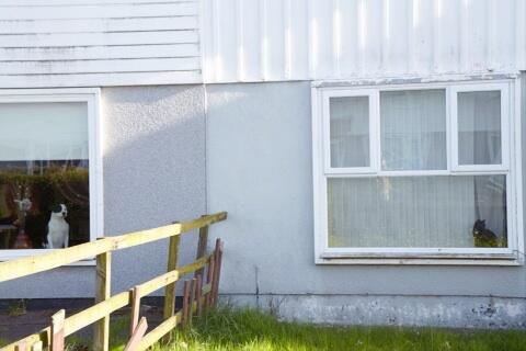 Life_of_Stumpy's tweet image. Lennon lives next door. I don't like to get too close...