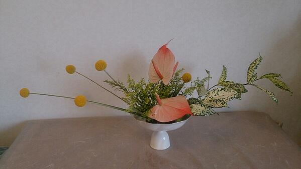 julia36J's tweet photo. The radial form - multi-sided version: Craspedia, Anthurium, Dracaena &amp; Solidaster. #ohararyu, #ikebana http://t.co/X373VhGd3Y