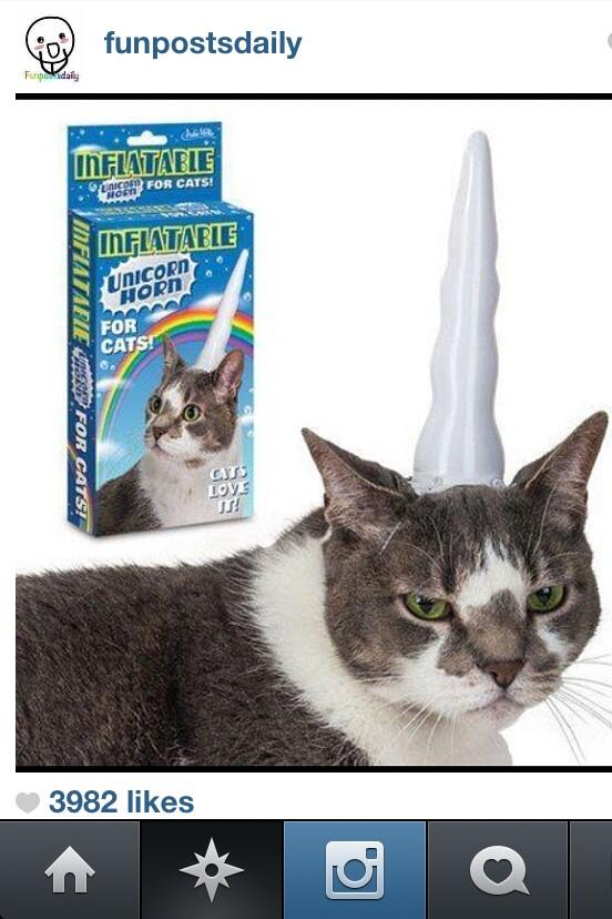 ChangeTheScript's tweet image. If @itswaq had a cat, it would def be rocking this..... #unicorncat #catcorn ✌ xx