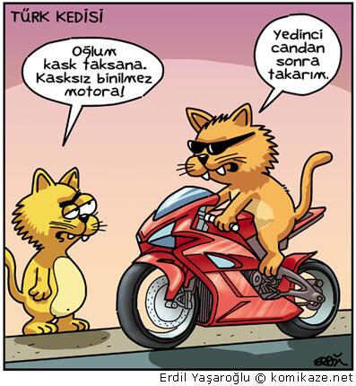 Gömülü resim için kalıcı bağlantı