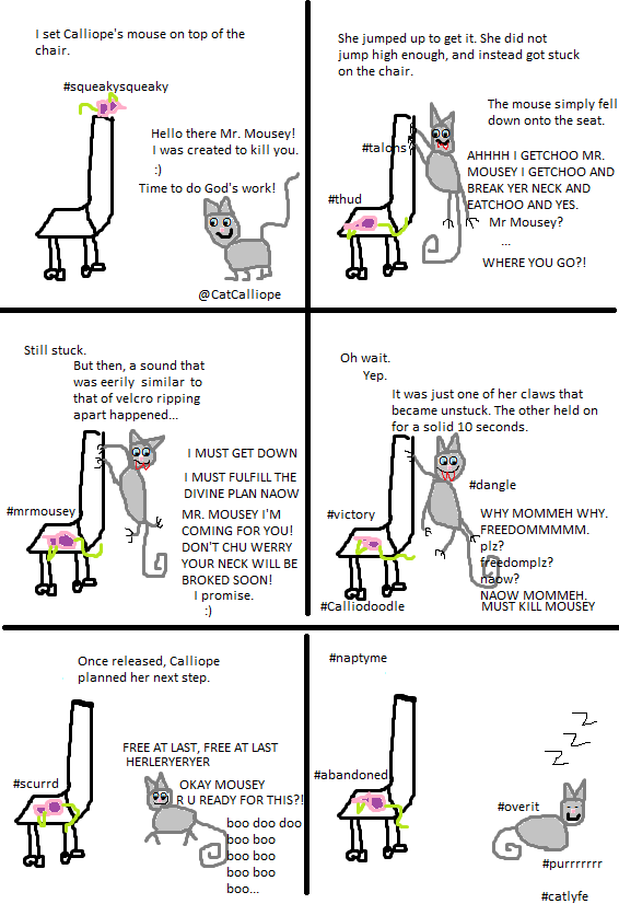 CatCalliope's tweet photo. #Calliodoodle: How Did I Get Here #catlyfe http://t.co/mQOJ5nLF75