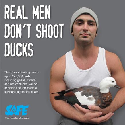 VeganNation's tweet photo. Real men don't shoot ducks http://t.co/vj99J3BsT3
