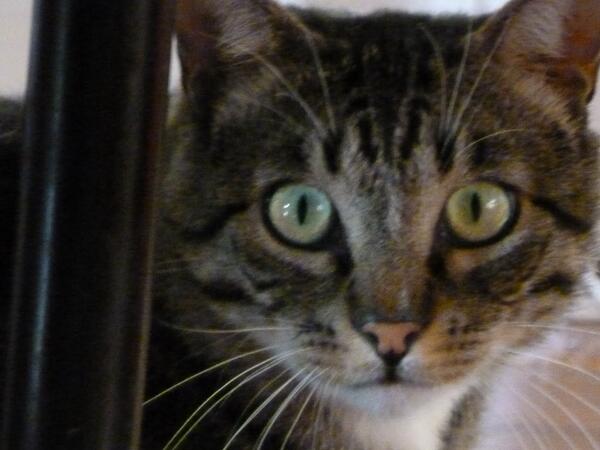 MaBoo__'s tweet image. Mi cara cuando me tocas el pene por accidente.