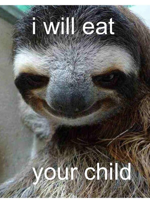 mad sloth