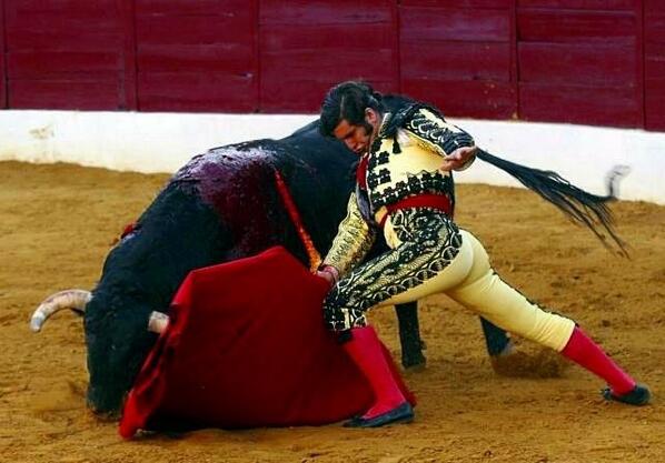 JOSEPADILLAMAN's tweet photo. Cuanto arte por Dios !! @portaltaurino  #toros  @elpais_toros  @torossigloxxi  @antoniopmtorero  @torosyole http://t.co/MGK6XOJUtG