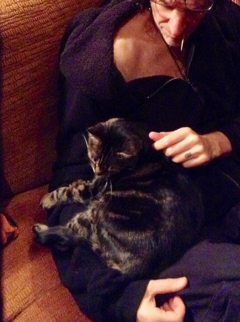 Howard Stern on Twitter "A man and his cat. Apple was a mess when we