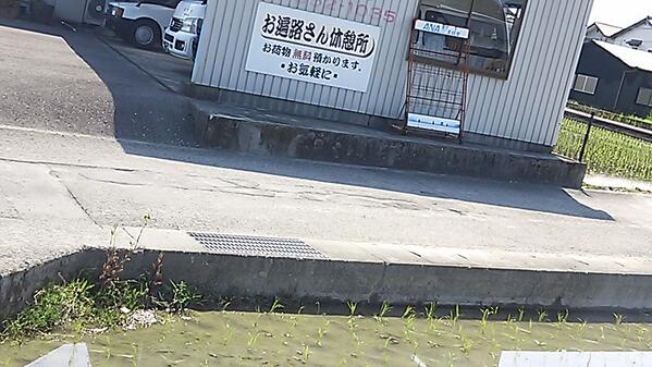 埋め込み画像への固定リンク