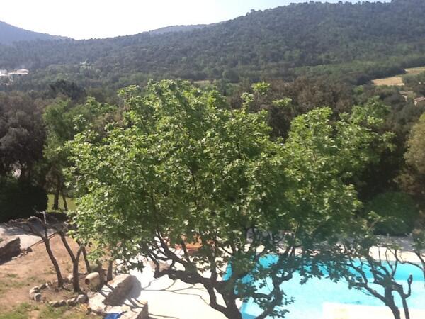 ForumPsychic's tweet image. Sent via @psexpress Makes the day start better a view like this