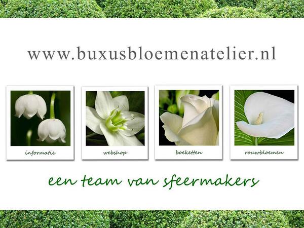 Vandaag is onze Nieuwe Website "Live". buxusbloemenatelier.nl NIEUW: Bestel nu 24/7 je #Bloemen in onze WebShop!